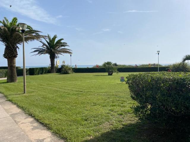 Apartamento Les Pieds Dans L'Eau Canet-en-Roussillon Exterior foto