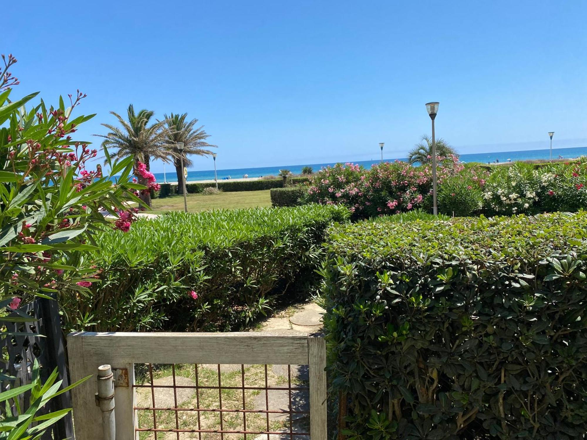 Apartamento Les Pieds Dans L'Eau Canet-en-Roussillon Exterior foto